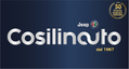 Cosilinauto Srl